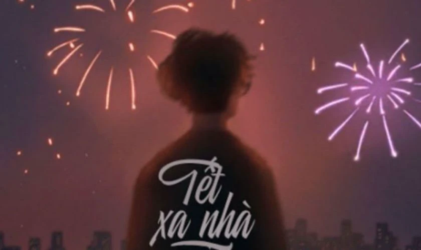 STT, Caption 29 Tết buồn, tâm trạng