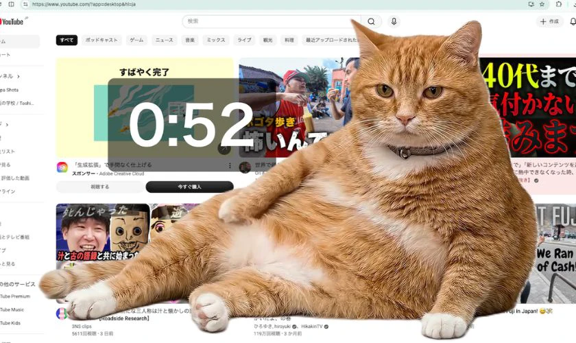 Exctension Cat Gatekeeper có lợi ích gì?