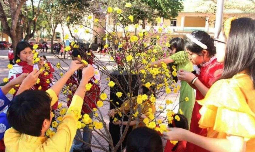 Câu chúc Tết cho học sinh cấp 2