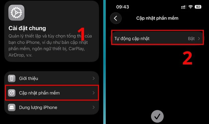 Chọn Cập nhật phần mềm và chọn Tự động cập nhật