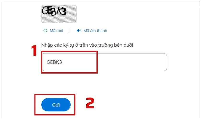 Bạn cần nhập mã xác thực ngay bên dưới và nhấn Gửi