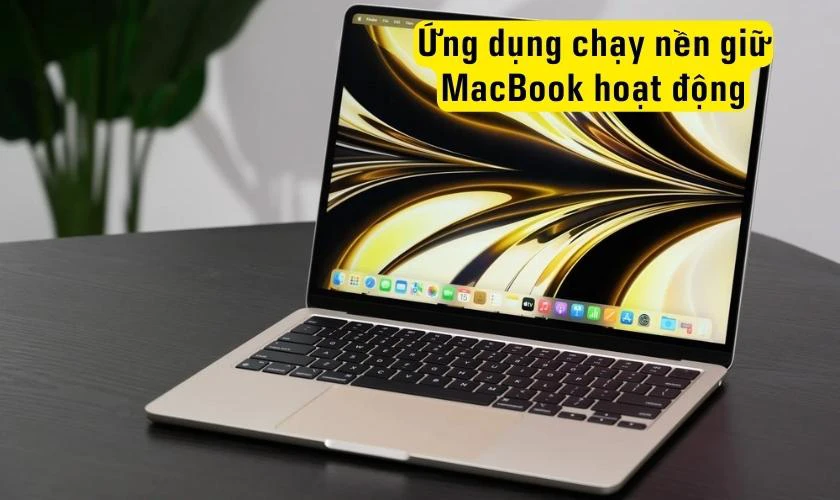 Máy không tự tắt đúng giờ đã cài