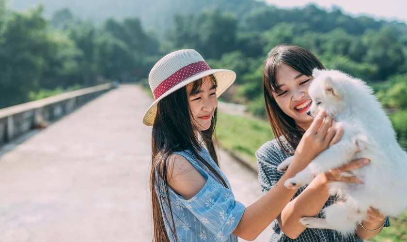 Lời chúc 20/10 ý nghĩa cho chị gái