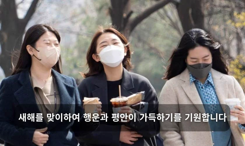 Câu chúc tết bằng tiếng Hàn 2026 cho đồng nghiệp