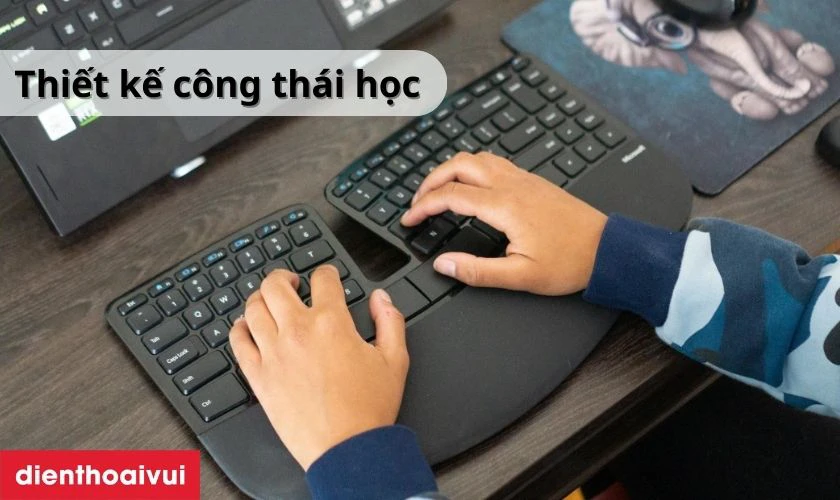 Chuột bàn phím Microsoft nổi bật với thiết kế công thái học