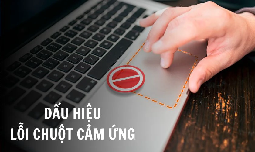 Dấu hiệu lỗi chuột cảm ứng không kéo lên xuống được