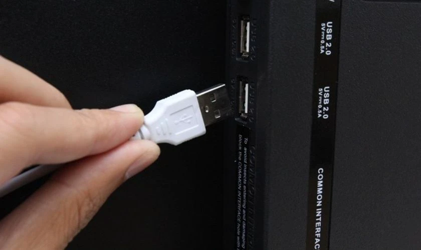 Cắm chuột sang cổng USB khác