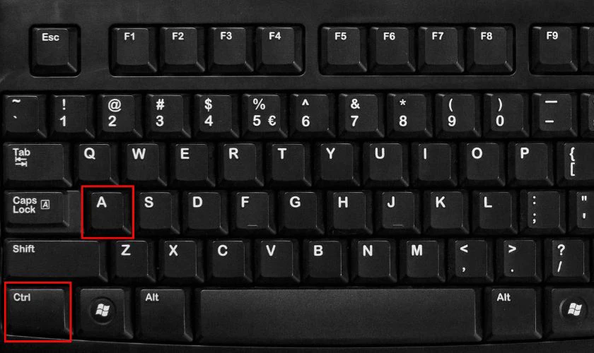 Giữ Ctrl + A để chọn danh bạ muốn chuyển