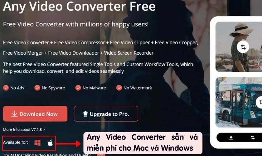 Cách chuyển MP4 sang MP3 bằng Any Video Converter Free