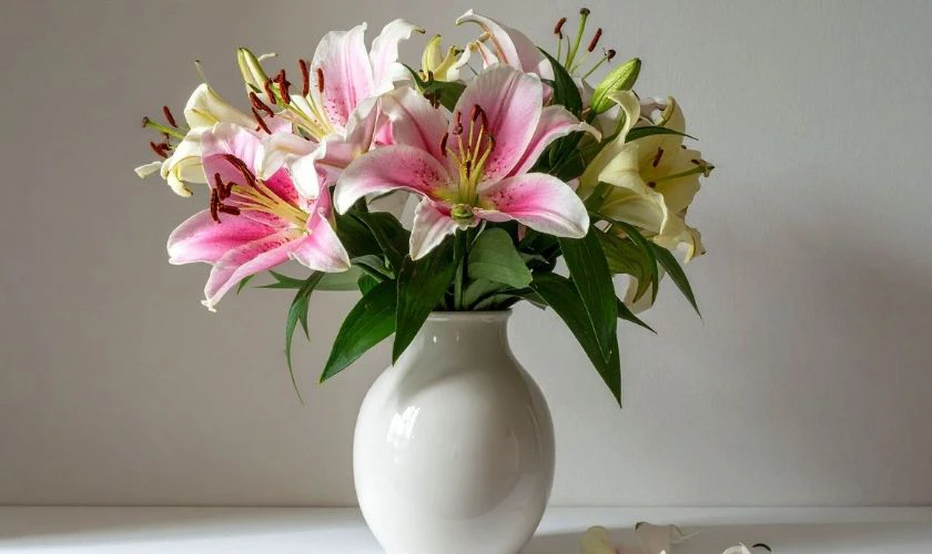 Có nên chưng hoa ly ngày Tết không?