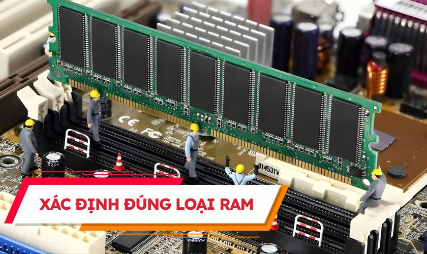 Kinh nghiệm khi mua RAM laptop cũ - xác định đúng loại RAM