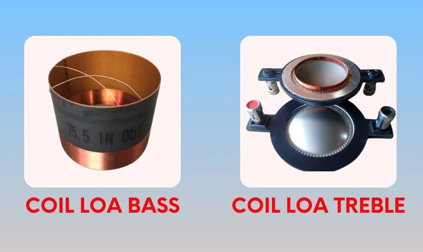 Coil loa là gì? Thông tin cần biết về côn loa