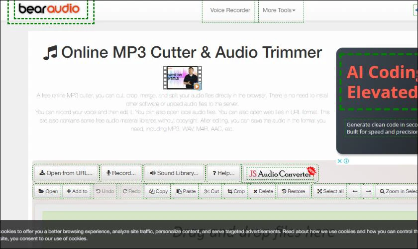 bearaudiotool.com