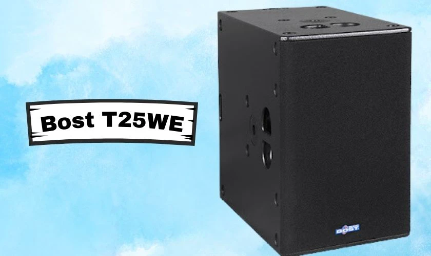 Loa Bost Audio T25WE