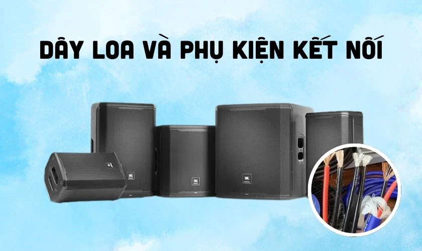 Dây loa và phụ kiện kết nối