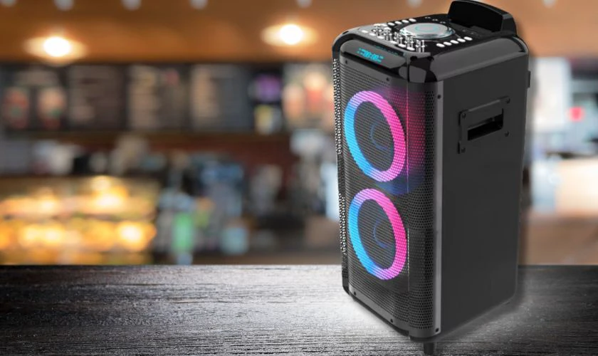 Loa sử dụng trong các quán bar, club