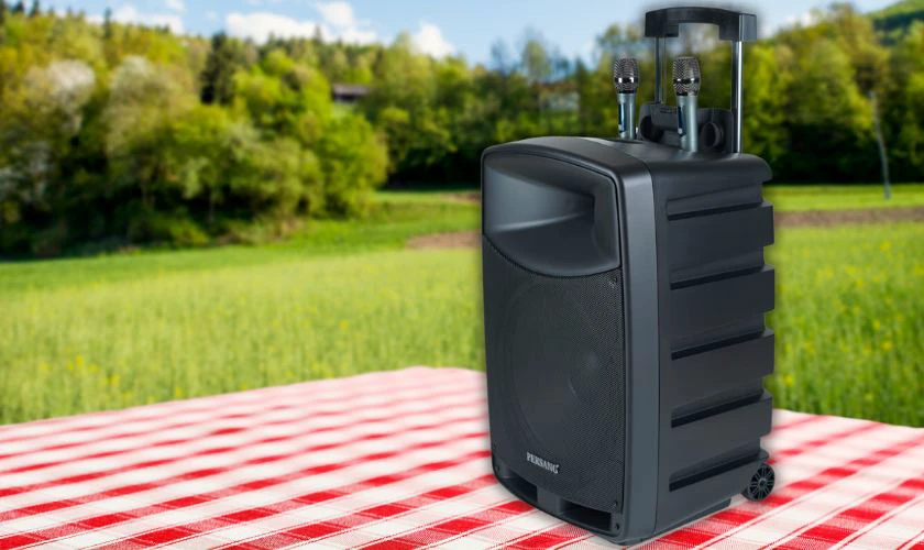 Lưu ý khi chọn mua loa công suất 1000W là gì?