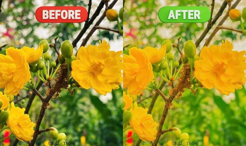 Công thức chỉnh màu Lightroom hot mùa Tết 2025
