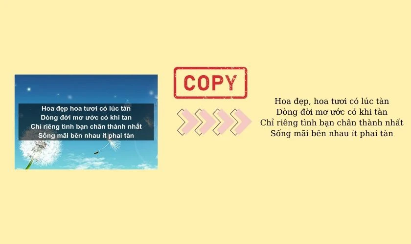 Copy chữ từ ảnh để làm gì?