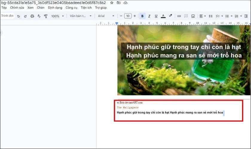 Google Tài liệu sẽ hiện lên ảnh cùng nội dung đoạn văn bản trên ảnh
