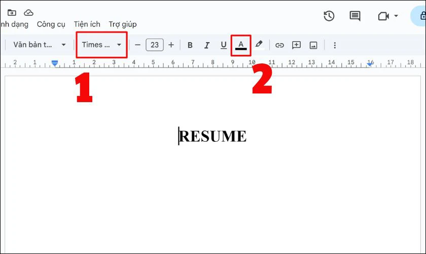 Định dạng font chữ, màu sắc, kích thước của CV