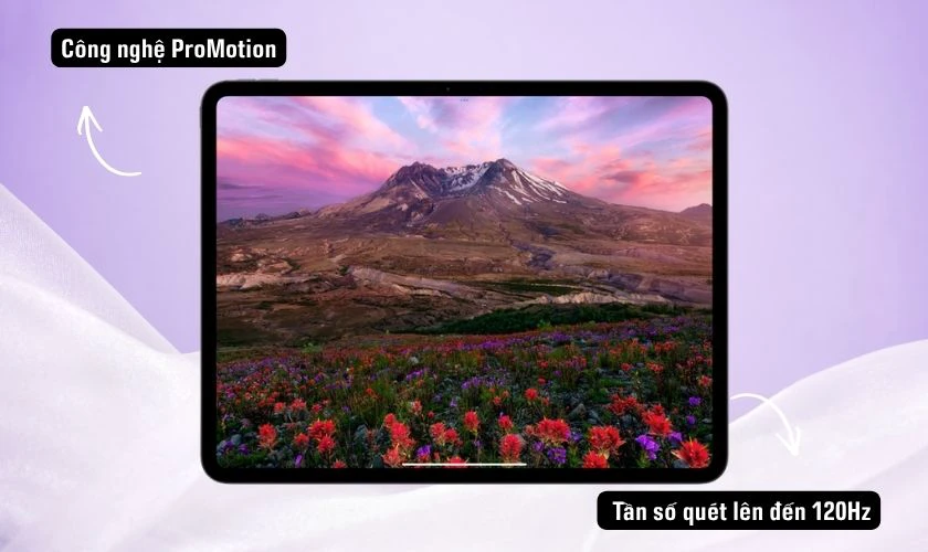 Đánh giá iPad Pro M4 về màn hình