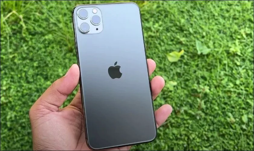 Ai nên mua iPhone 11 Pro Max?