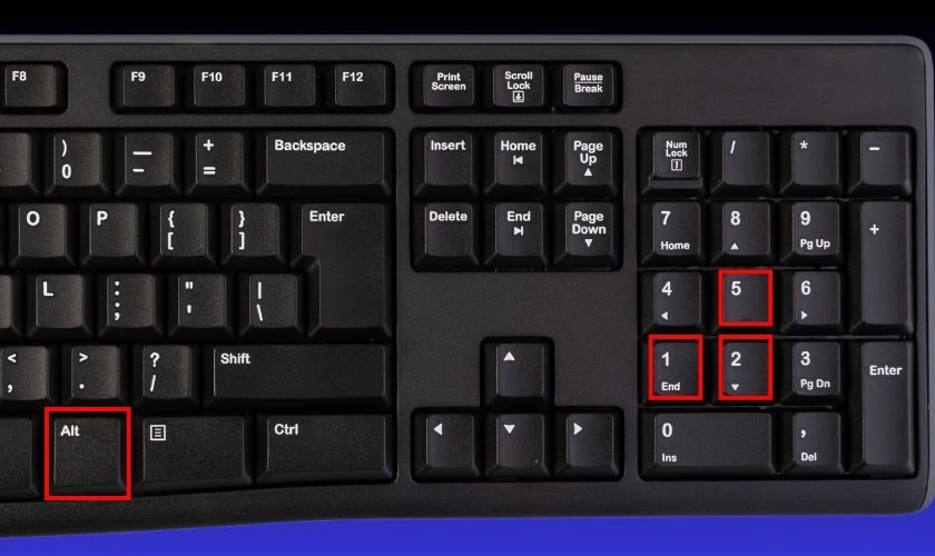 Nhấn giữ phím Alt, sau đó lần lượt nhập 2, 5, 1 trên bàn phím số