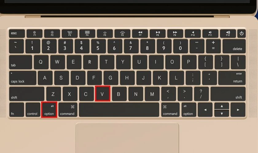 Cách gõ dấu căn bậc 2 trên máy tính macOS