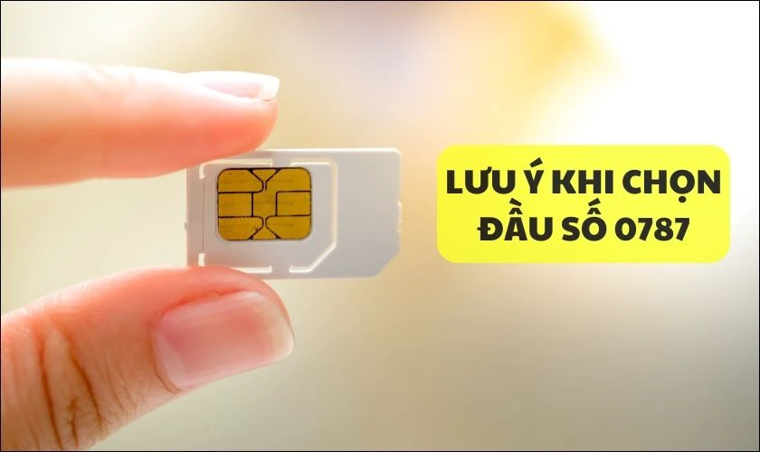 Những điều cần biết khi chọn đầu số 0787 mạng MobiFone là gì?