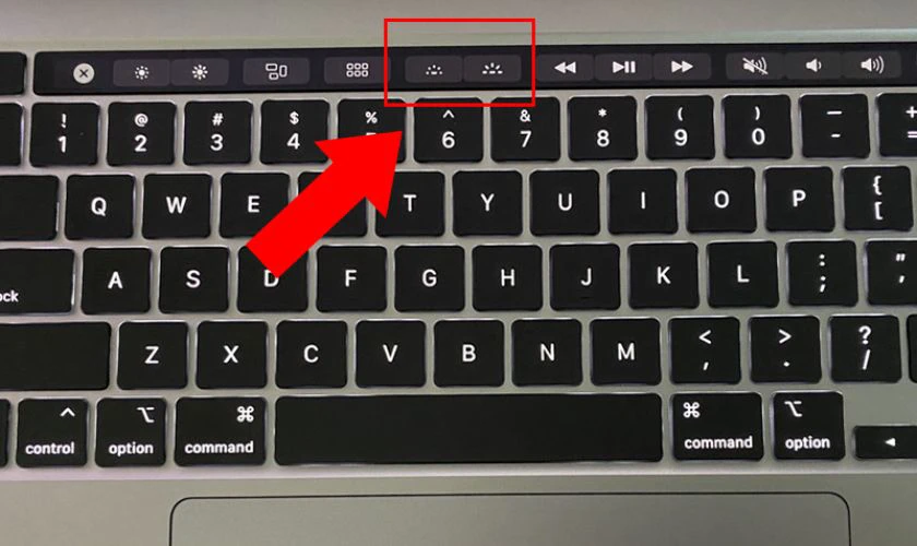 Sử dụng Touch Bar