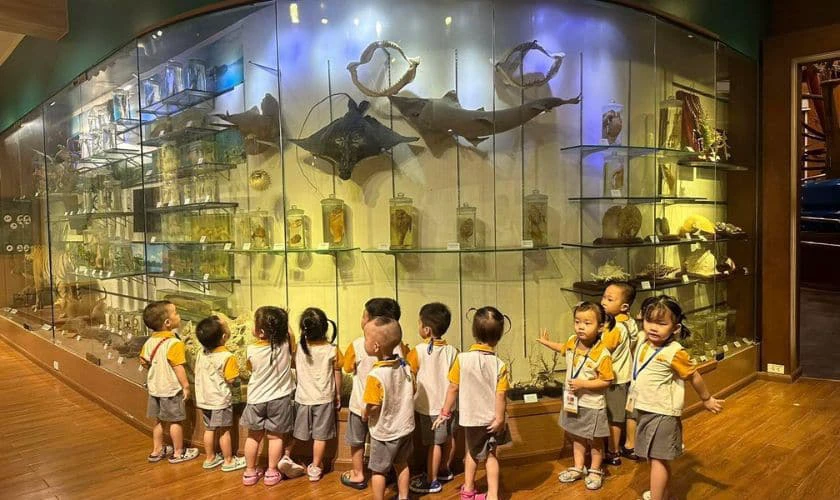 Bảo tàng Thiên nhiên Việt Nam