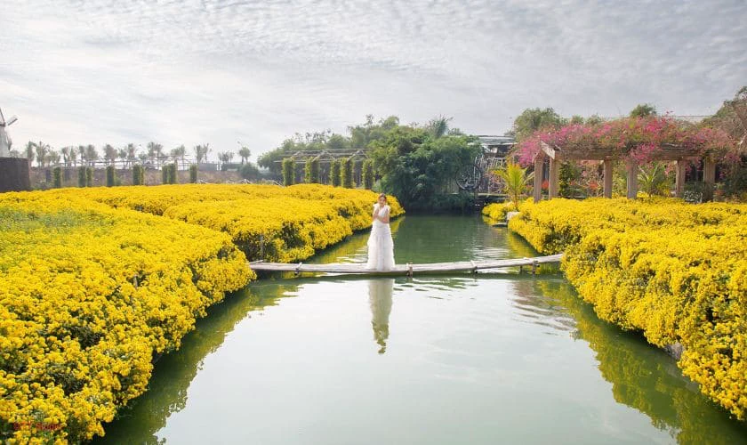 Thung lũng hoa Hồ Tây