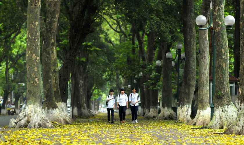 Con đường tình yêu Phan Đình Phùng