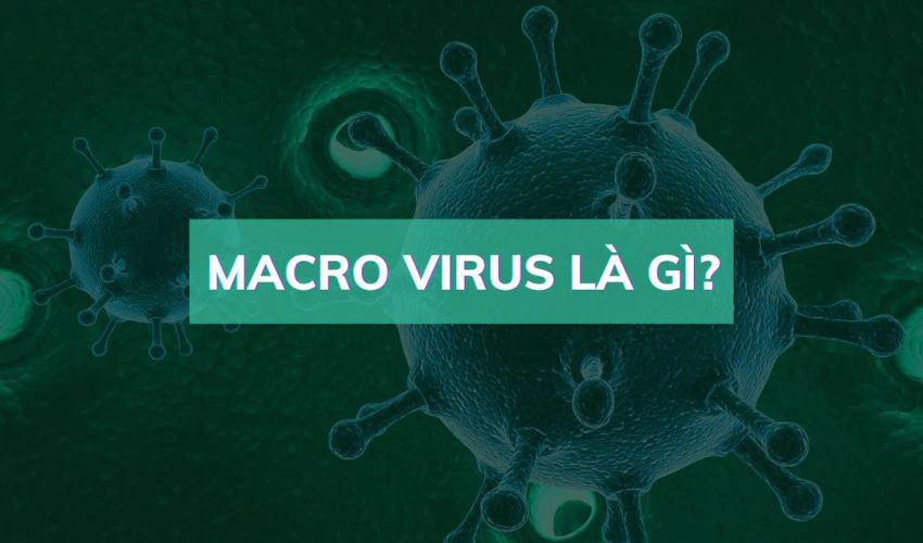 Virus macro trong Excel là mã độc được viết bằng ngôn ngữ macro