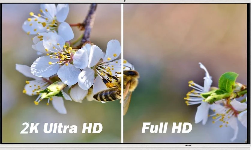 Độ phân giải của 2K và Full HD có gì khác biệt?