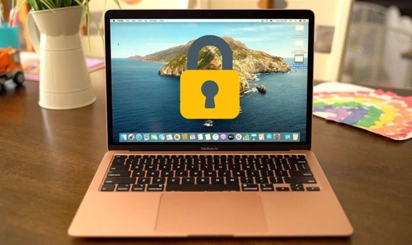 Đổi user bị mất quyền admin là lỗi thường gặp trên MacBook