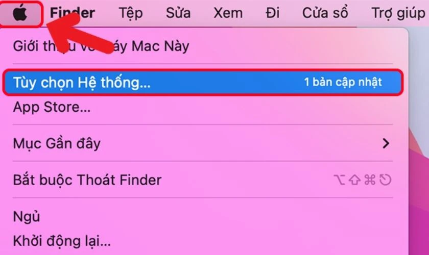 Click vào icon Apple và chọn Tùy chọn hệ thống