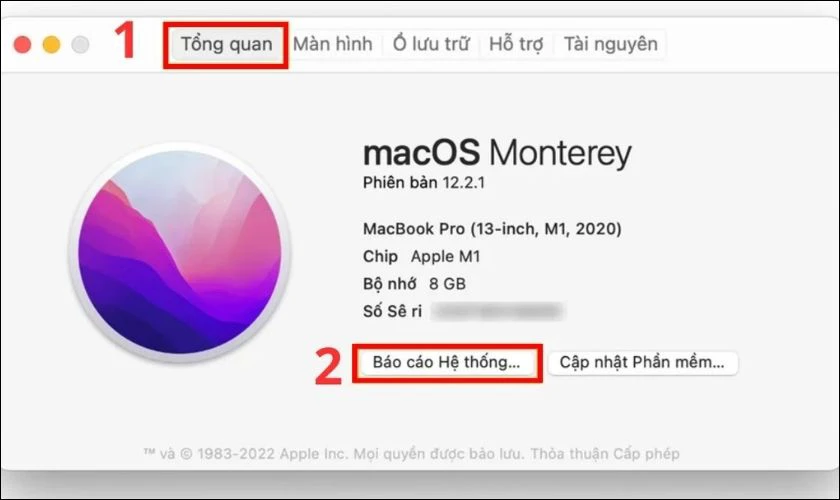 Mở Báo cáo hệ thống