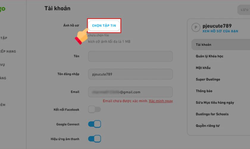 Ở trang tài khoản, tiếp tục nhấp Chọn tệp tin