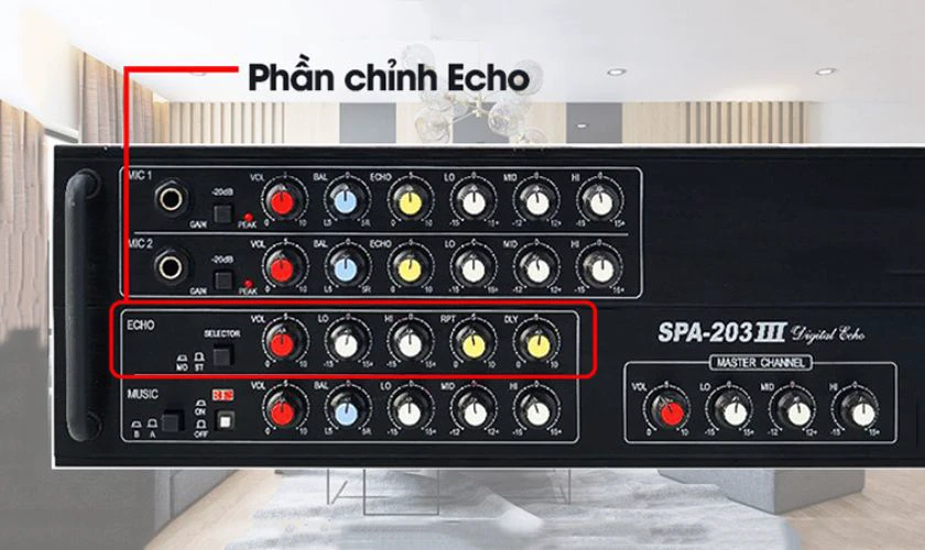 Xác định loại Echo để điều chỉnh cho phù hợp