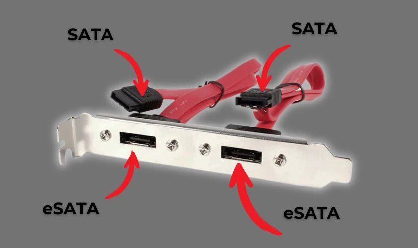 Tương thích với cổng SATA
