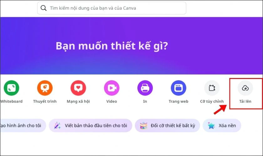 File HEIC là gì? Chuyển đổi file HEIC với Canva tiện lợi