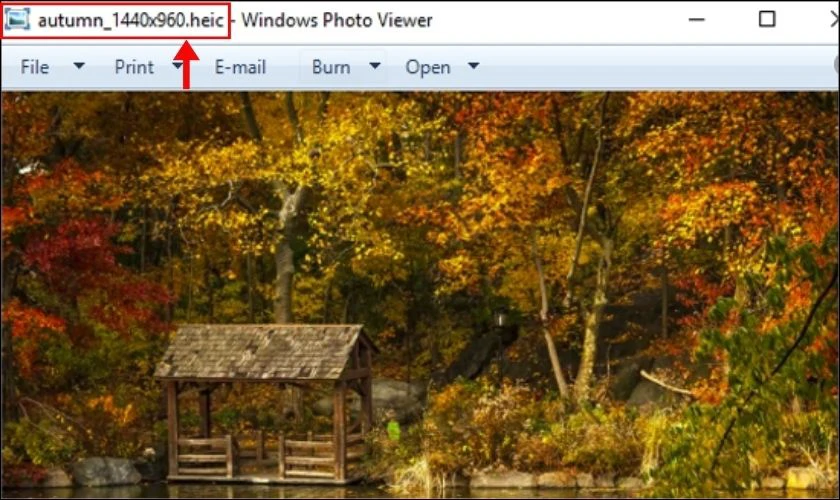 Chọn ứng dụng Windows Photo Viewer để xem ảnh