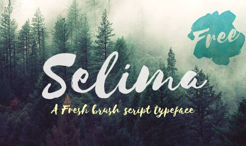 Font iCiel Selima