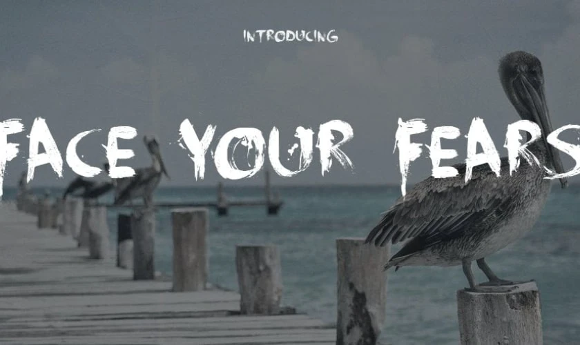 Font Face Your Fears
