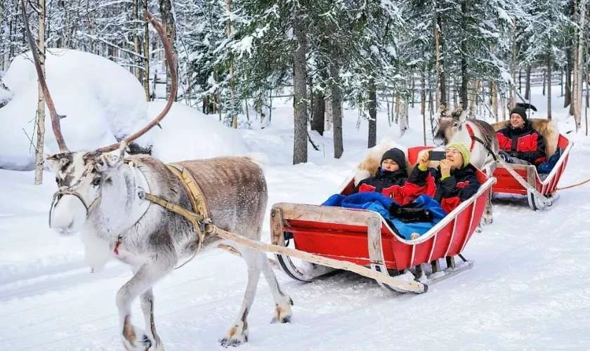 Hình ảnh Noel với tuyết trắng