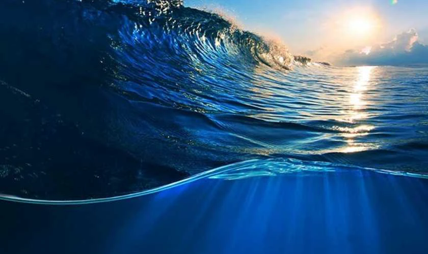 Giờ Xuất Hành Mùng 1 Tết 2026 Theo Mệnh Thủy