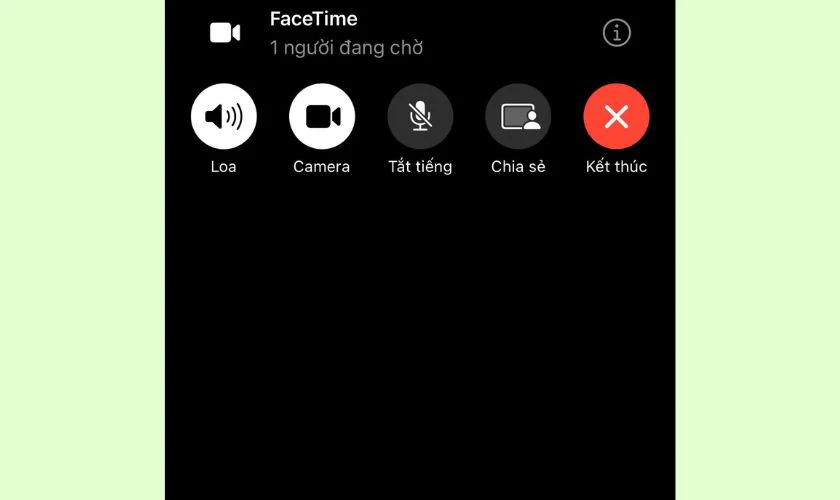 Khi cuộc gọi FaceTime bắt đầu, trên màn hình sẽ xuất hiện các nút chức năng