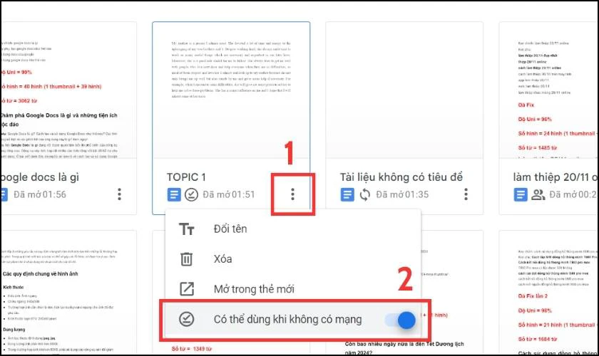 Hỗ trợ chế độ làm việc offline trên Google Docs là gì?